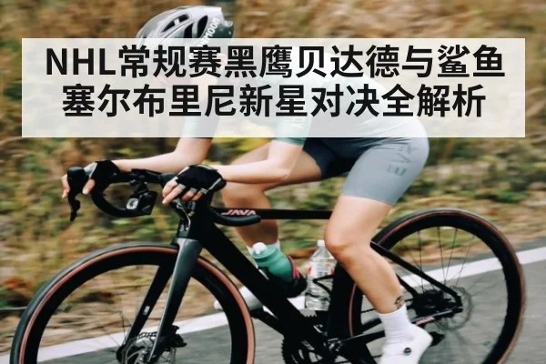 NHL常规赛黑鹰贝达德与鲨鱼塞尔布里尼新星对决全解析